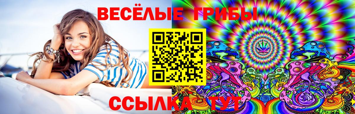 Псилоцибиновые грибы прущие грибы  Псилоцибиновые грибы мицелий  Старый Оскол  Вход с VPN 